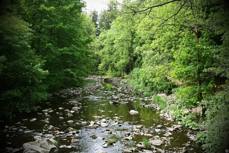 img00039.jpg