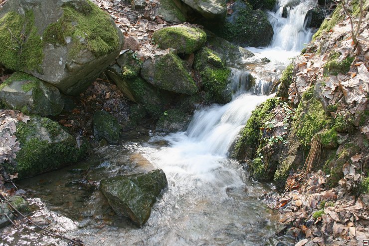 img00055.jpg