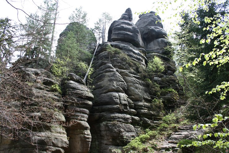img00032.jpg