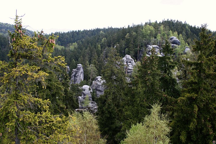 img00033.jpg