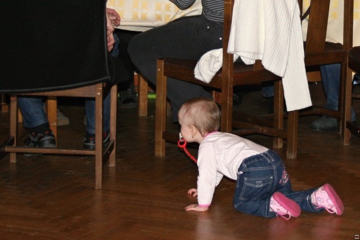 img00041.jpg