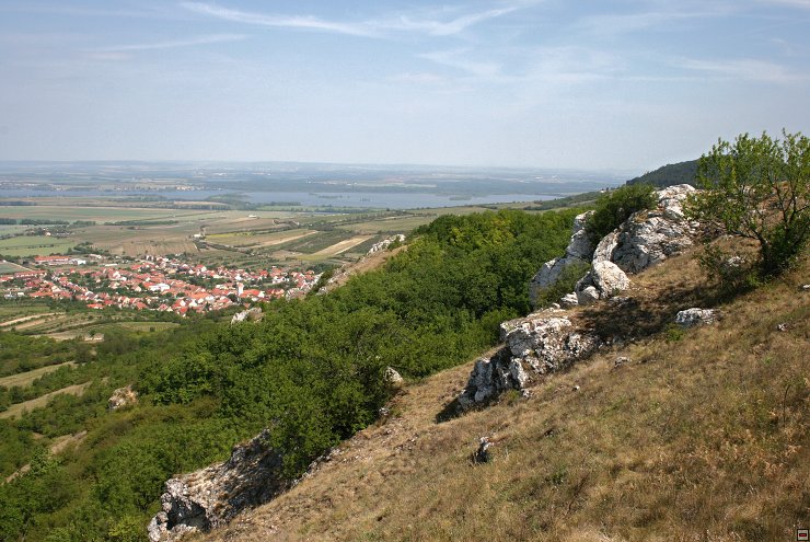 img00016.jpg