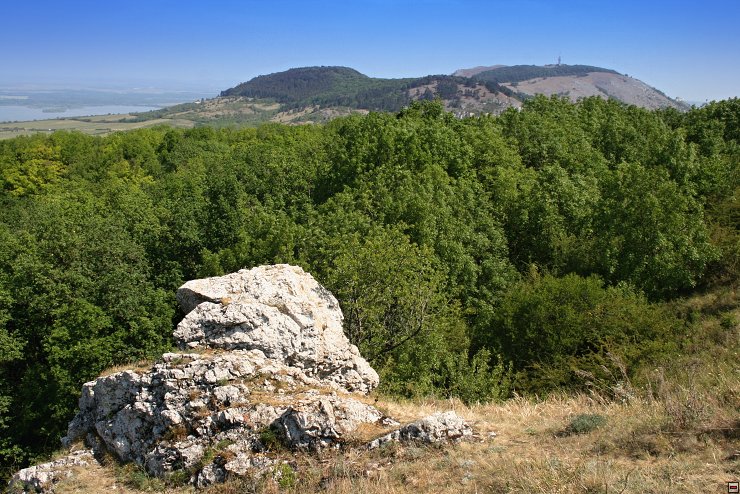 img00017.jpg