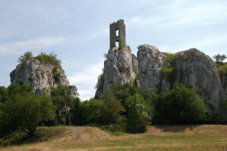 img00018.jpg