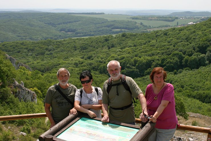 img00020.jpg