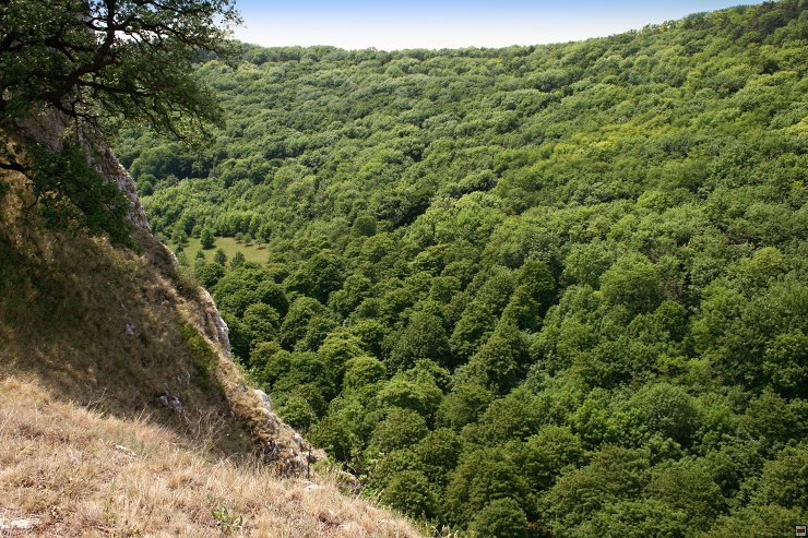 img00021.jpg
