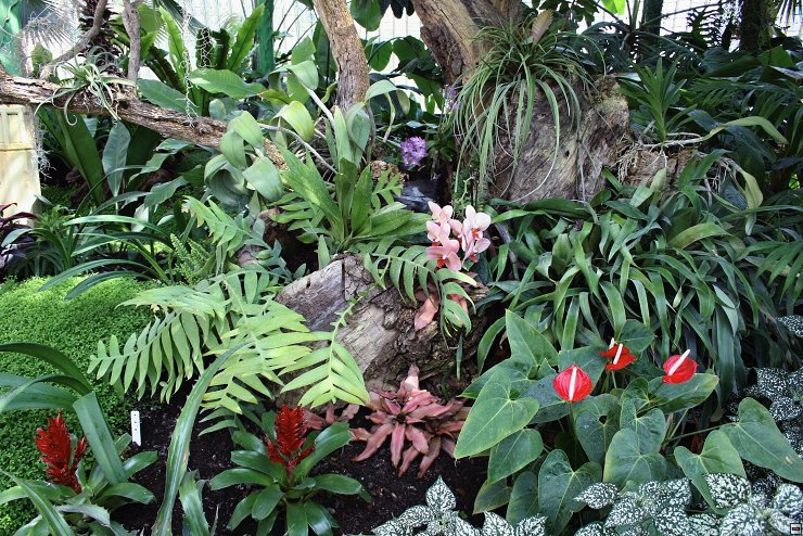 img00033.jpg