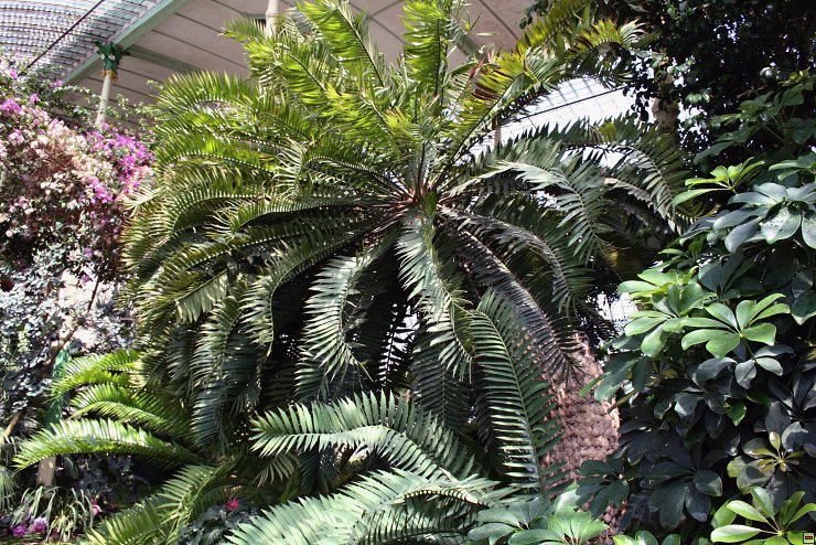 img00037.jpg