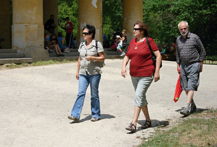 img00041.jpg