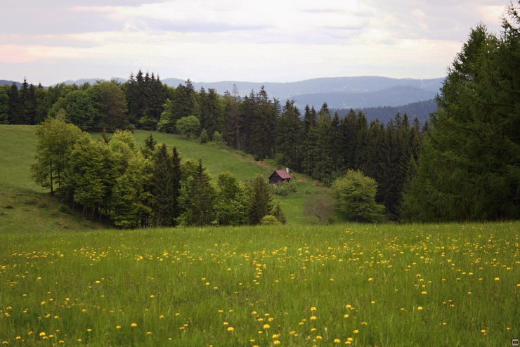 img00034.jpg